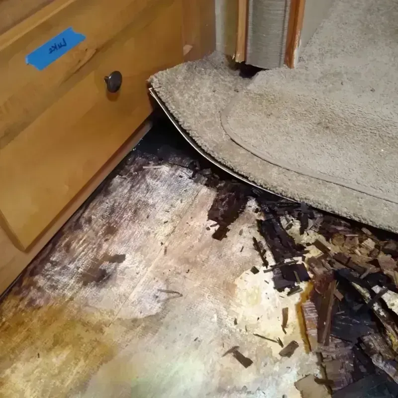 Wood Floor Water Damage in Mount Olympus, UT